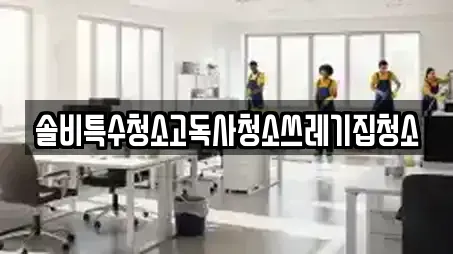 솔비특수청소고독사청소쓰레기집청소