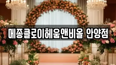 메종클로이헤움앤비올 안양점