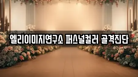 엘리이미지연구소 퍼스널컬러 골격진단