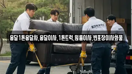 용달1톤용달차,용달이사,1톤트럭,원룸이사,반포장이사화물
