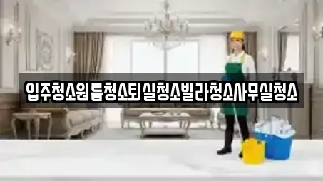 입주청소원룸청소퇴실청소빌라청소사무실청소
