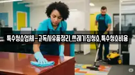 특수청소업체-고독사유품정리,쓰레기집청소,특수청소비용