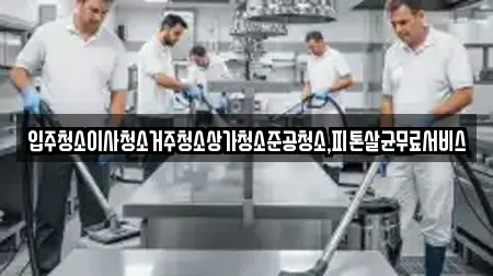 입주청소이사청소거주청소상가청소준공청소,피톤살균무료서비스
