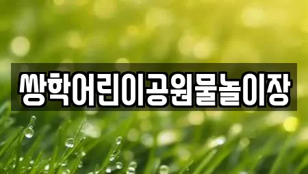 쌍학어린이공원물놀이장