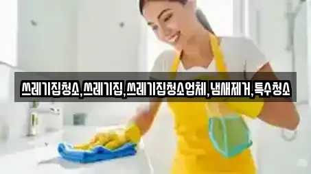 쓰레기집청소,쓰레기집,쓰레기집청소업체,냄새제거,특수청소