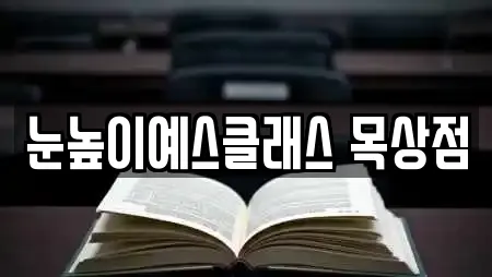 눈높이예스클래스 목상점