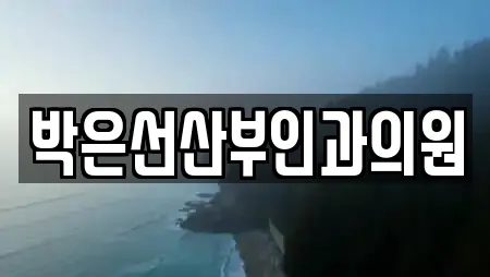 박은선산부인과의원