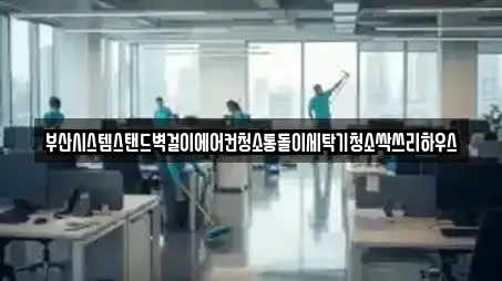 부산시스템스탠드벽걸이에어컨청소통돌이세탁기청소싹쓰리하우스