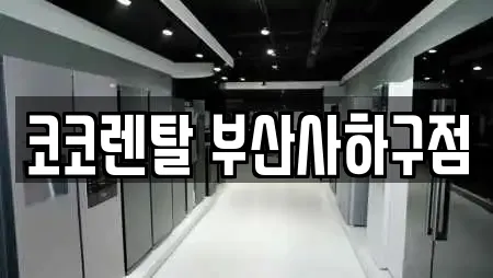 부산 하단동 추천 복합기렌탈,가전제품렌탈,공기청정기렌탈,정수기렌탈,비데렌탈 위치 부산 하단동 추천 복합기렌탈,가전제품렌탈,공기청정기렌탈,정수기렌탈,비데렌탈 위치