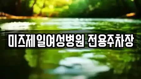 미즈제일여성병원 전용주차장
