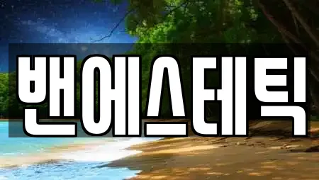 밴에스테틱