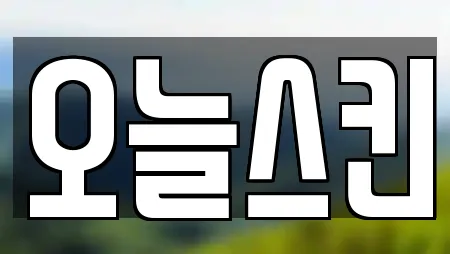 오늘스킨