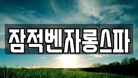 잠적벤자롱스파
