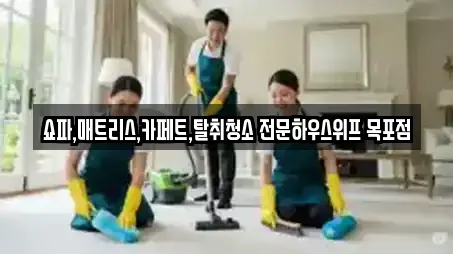 쇼파,매트리스,카페트,탈취청소 전문하우스위프 목포점