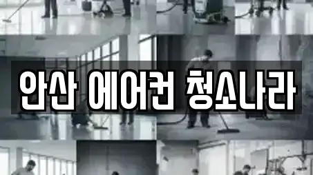 안산 에어컨 청소나라