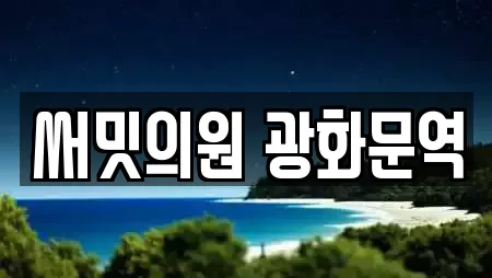 써밋의원 광화문역