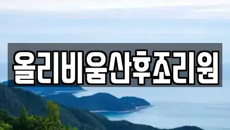 서울 종로구 평동 산후조리원,한의원,산부인과,피부과,에스테틱 전문 22 서울 종로구 평동 산후조리원,한의원,산부인과,피부과,에스테틱 전문 22