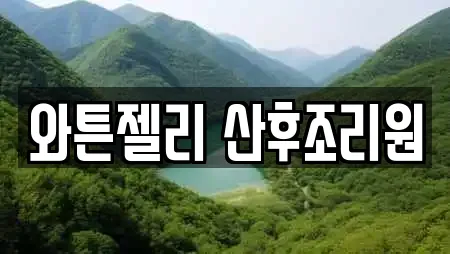 와튼젤리 산후조리원
