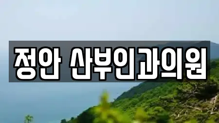 정안 산부인과의원