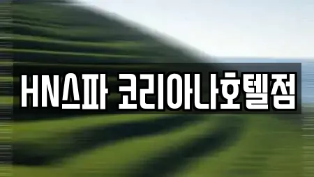 HN스파 코리아나호텔점