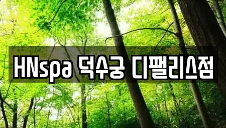 HNspa 덕수궁 디팰리스점