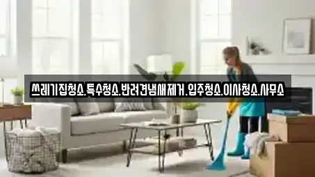쓰레기집청소.특수청소.반려견냄새제거.입주청소.이사청소.사무소