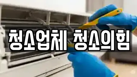 청소업체 청소의힘