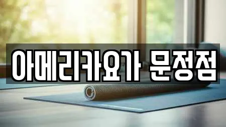 아메리카요가 문정점