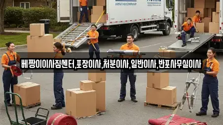 베짱이이사짐센터,포장이사,처분이사,일반이사,반포사무실이사
