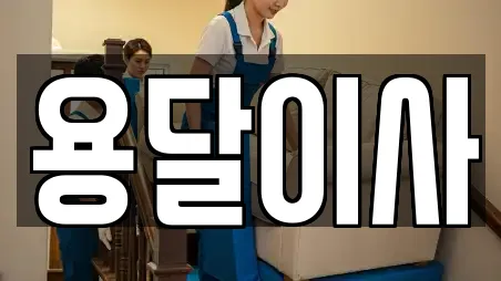 용달이사