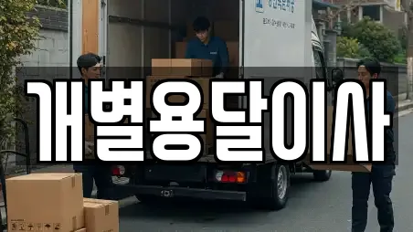 개별용달이사