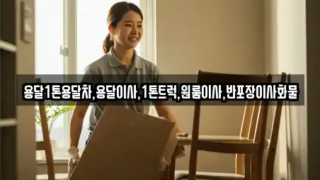용달1톤용달차,용달이사,1톤트럭,원룸이사,반포장이사화물