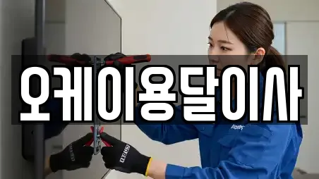 오케이용달이사