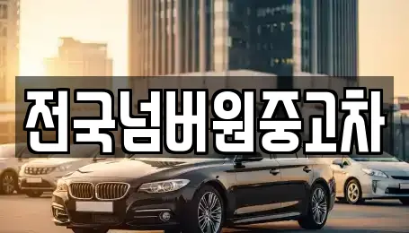 전국넘버원중고차