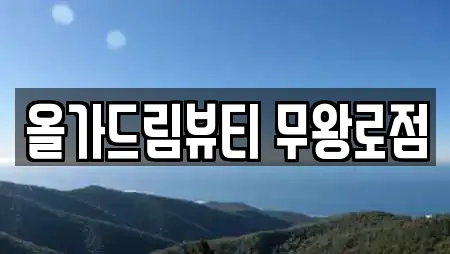 올가드림뷰티 무왕로점