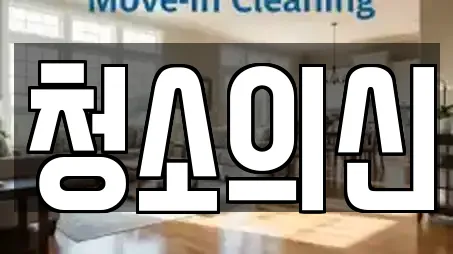 청소의신