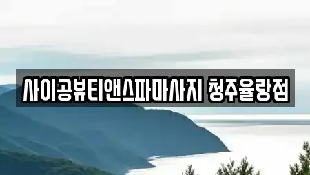 사이공뷰티앤스파마사지 청주율랑점