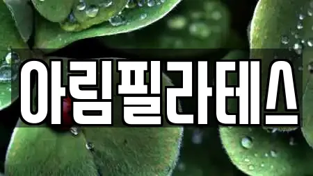 아림필라테스
