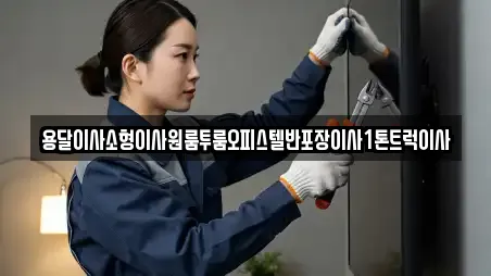 용달이사소형이사원룸투룸오피스텔반포장이사1톤트럭이사