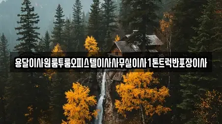 용달이사원룸투룸오피스텔이사사무실이사1톤트럭반포장이사