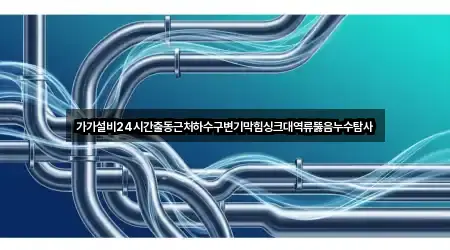 경상북도 문정동 싱크대 막힘 주소만 모아보기 1곳