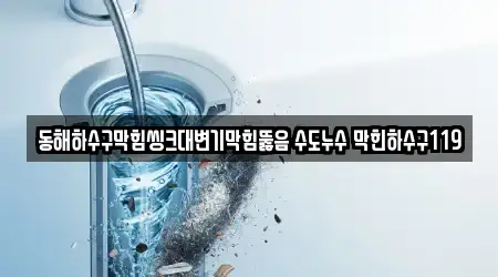 동해하수구막힘씽크대변기막힘뚫음 수도누수 막힌하수구119