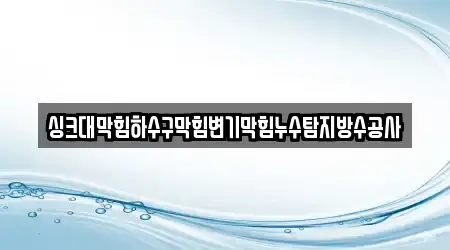 싱크대막힘하수구막힘변기막힘누수탐지방수공사