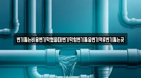 변기뚫는비용변기막혔을때변기막힘변기뚫음변기역류변기뚫는곳