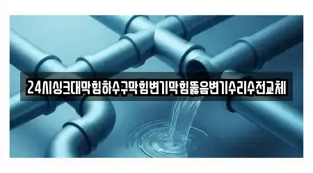 24시싱크대막힘하수구막힘변기막힘뚫음변기수리수전교체