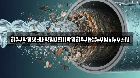 하수구뚫음 19 경기 시흥시 거모동 업체 지도