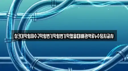 싱크대막힘하수구막힘변기막힘변기막혔을때배관역류누수탐지공사