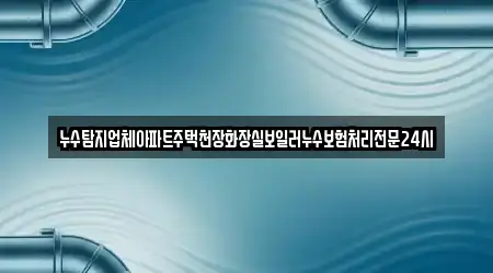 누수탐지업체아파트주택천장화장실보일러누수보험처리전문24시