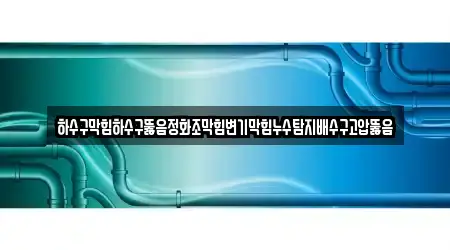 하수구막힘하수구뚫음정화조막힘변기막힘누수탐지배수구고압뚫음
