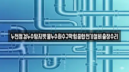 누전점검누수탐지빗물누수하수구막힘종합전기설비출장수리